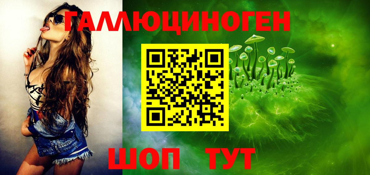 Учалы  Галлюциногенные грибы прущие грибы  Вход с VPN 